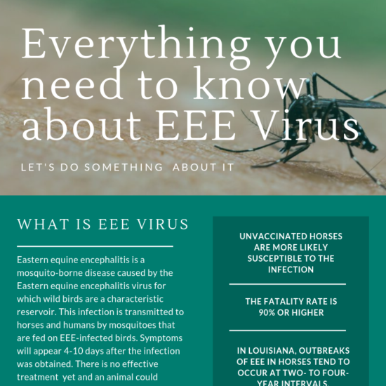 Everything You Need To Know About EEE Virus