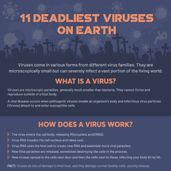 11 Deadliest Viruses On Earth