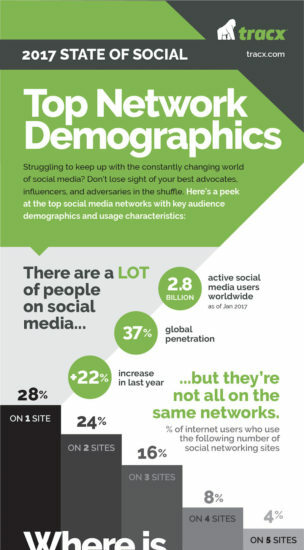 2017 social media demographics