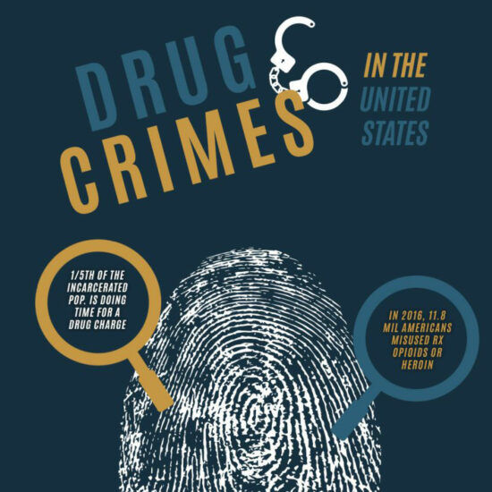 drug crimes in the united states infographic