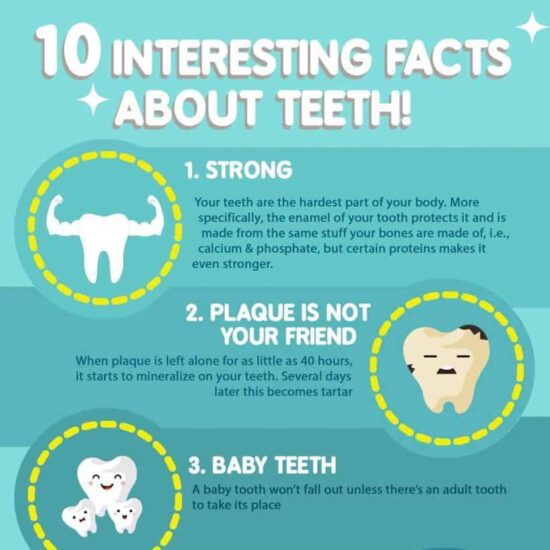 interesting facts about teeth infographic scaled 1