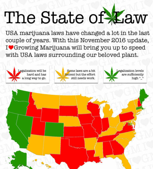 marijuana law us infographic