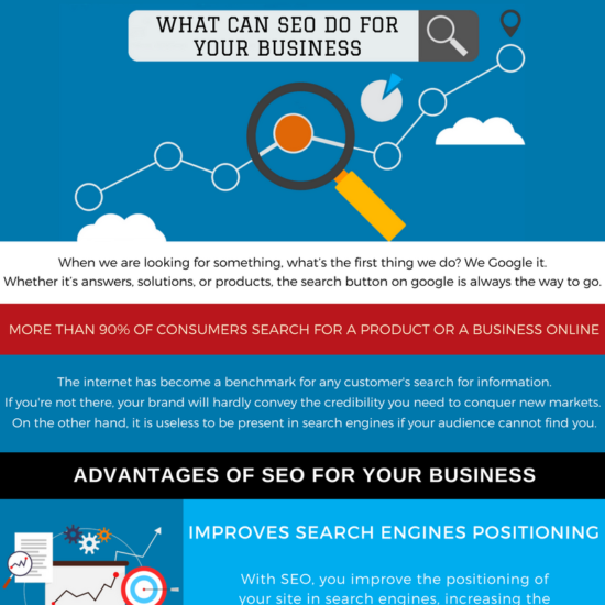 what can seo do for your business infographic